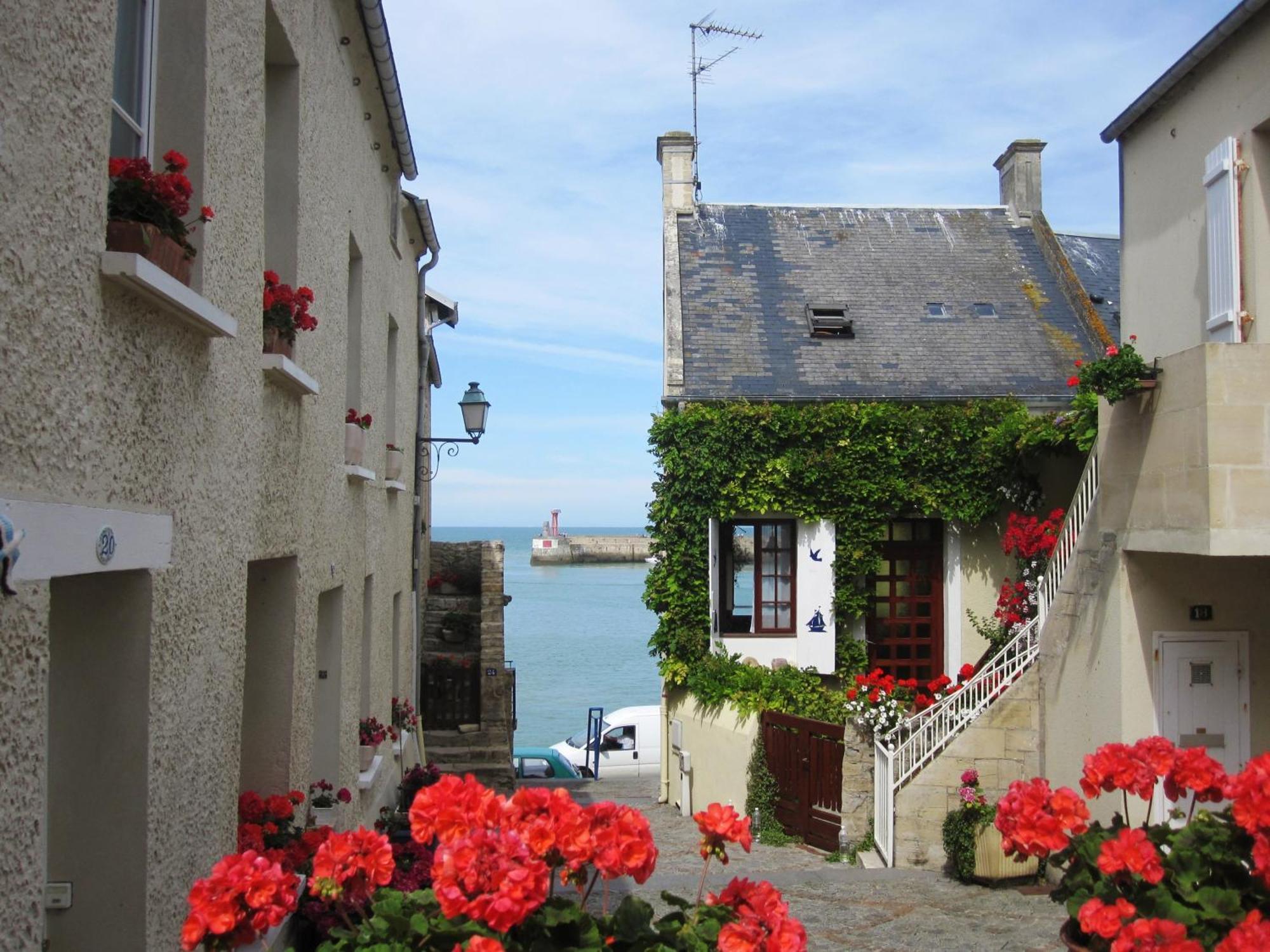 Gite "Au P'Tit Tourois" De Plain-Pied Tout Confort Avec Veranda Proche D'Omaha Beach Et De Bayeux Accueillant Les Animaux Bagian luar foto